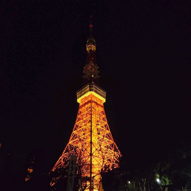 東京タワー夜景散歩：煌めく東京の象徴を巡る旅
