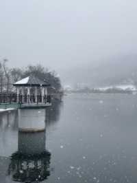 눈으로 뒤덮인 서울근교 드라이브+산책로 추천❄️