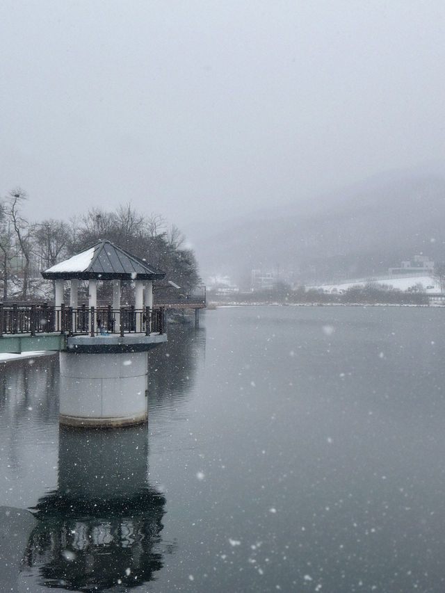 눈으로 뒤덮인 서울근교 드라이브+산책로 추천❄️