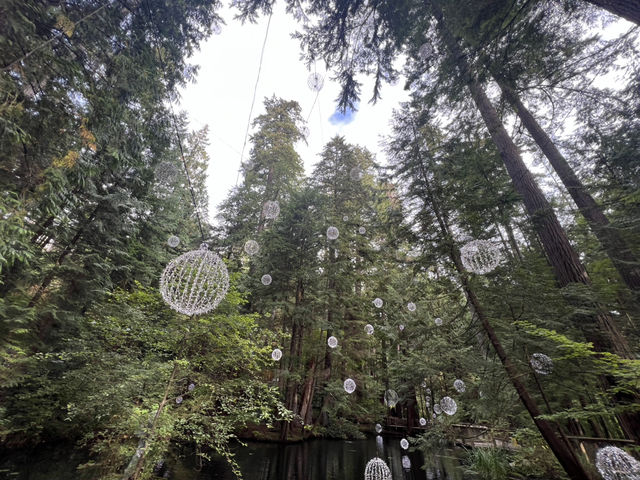 溫哥華卡皮拉諾吊橋公園參觀心得