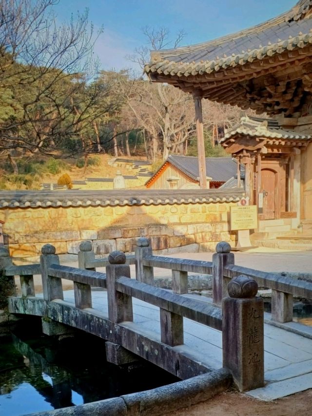 🌿 고즈넉한 사찰 데이트, 통도사