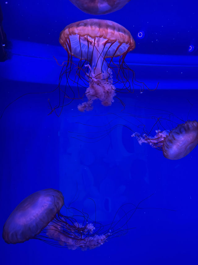 SEA LIFE Bangkok Ocean World