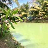 ณ อุบลของฝาก & คาเฟ่พิบูลมังสาหาร 