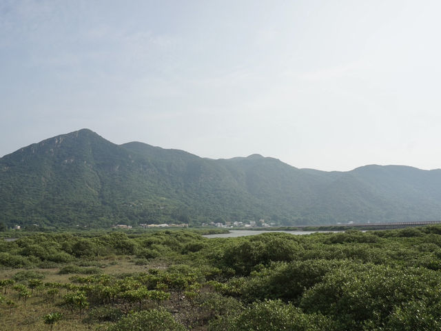 Beyond the Village: A Scenic Escape Around Tai O