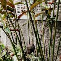  Kedai Ojo Magetan: A Haven of Tradition and Taste 