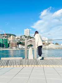 海沿いの散策が楽しめる開放的な公園！