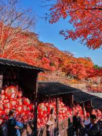 楓葉勝地勝尾寺❤️🔥大阪行程攻略🥰