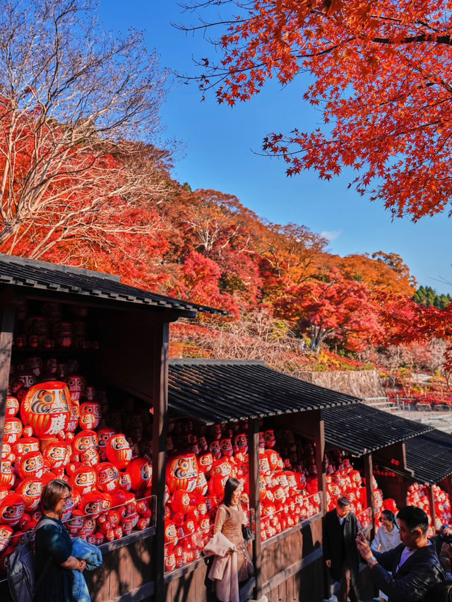 楓葉勝地勝尾寺❤️🔥大阪行程攻略🥰 楓葉勝地勝尾寺❤️🔥大阪行程攻略🥰