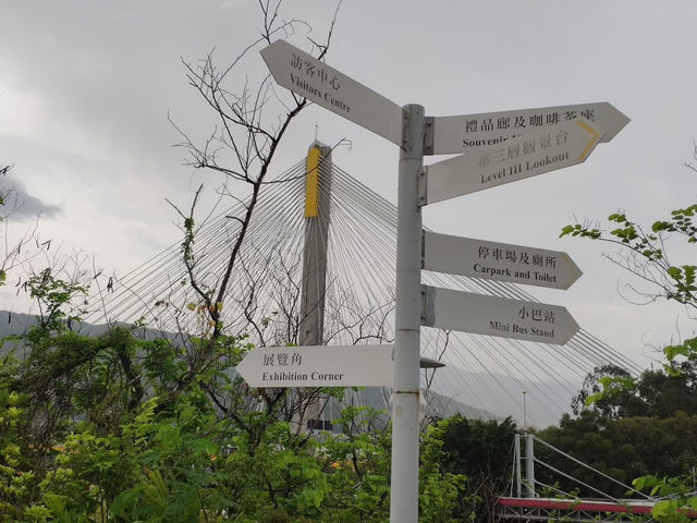 青馬大橋觀景台：情人節的壯麗浪漫