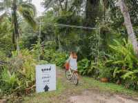 🐵 Blu Monkey Pooltara Krabi 🌴