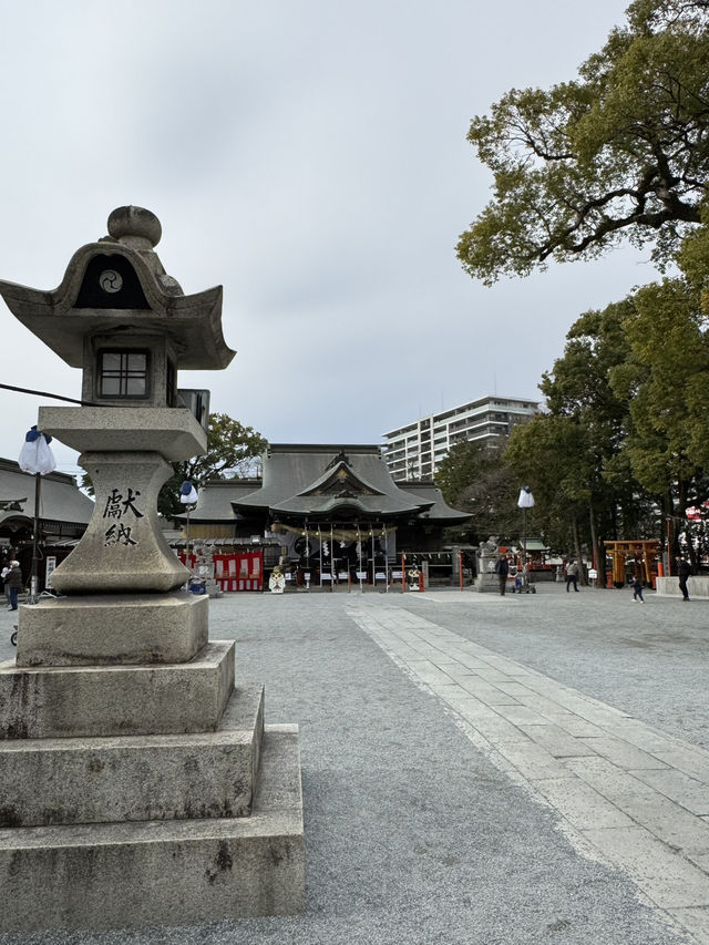 【福岡観光】御神木の大きさに驚き🌳地元で愛される神社⛩