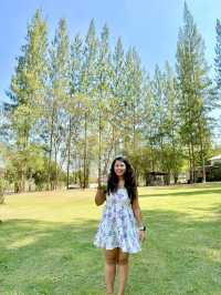 Phupha Coffee Camp ภูผา คอฟฟี่ แค้มป์🏕️