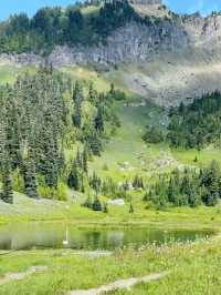 Where Summer Meets Snow – My Journey to Mount Rainier in August