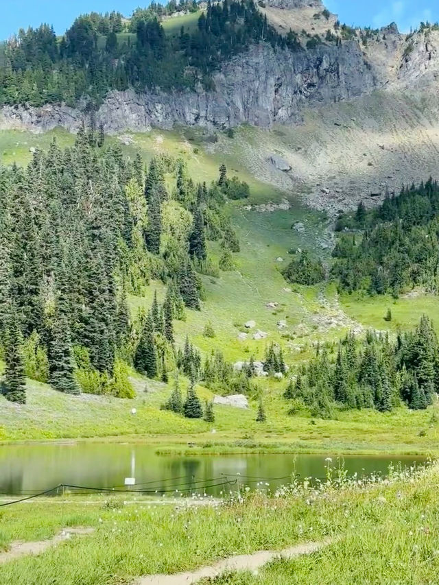 Where Summer Meets Snow – My Journey to Mount Rainier in August