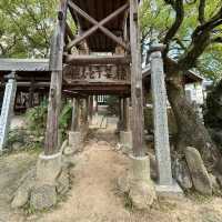 🇯🇵【愛媛】四国霊場第51番札所 見所の多い「石手寺」