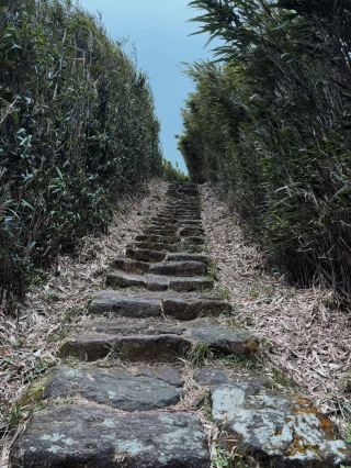 Yangmingshan: Taiwan’s Volcanic Wonderland for Outdoor Adventures