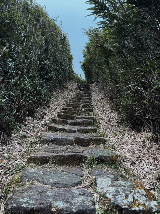 Yangmingshan: Taiwan’s Volcanic Wonderland for Outdoor Adventures