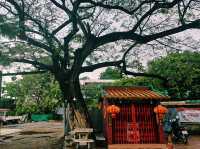 泰國曼谷湄南河畔老城區古宅博物館古跡寺廟村落河景一日遊行程，適合休閒拍照📸打卡