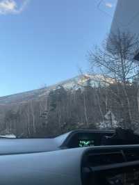 후지산 포토스팟, 죽음의숲 등 리뷰 🗻