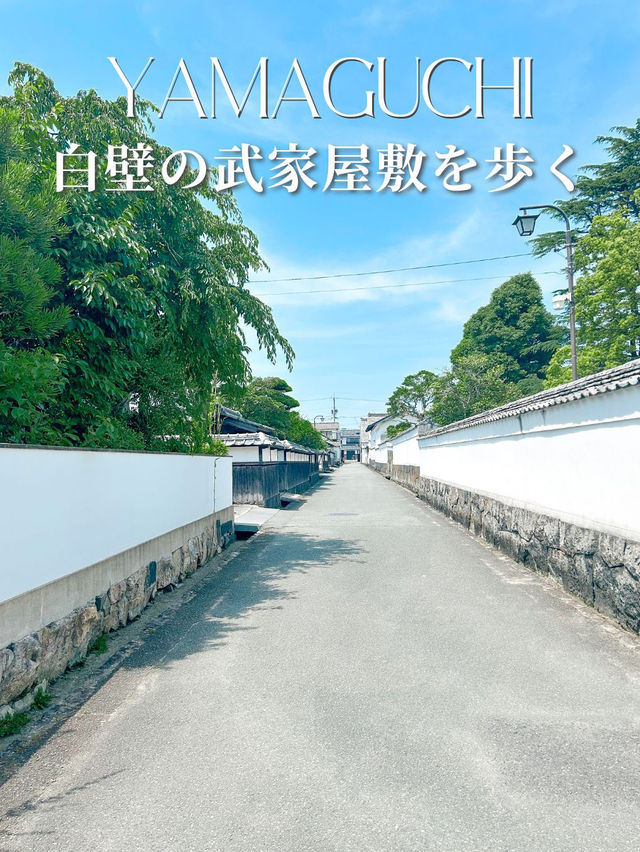 歴史ファン必見！江戸時代の風情を残す白壁の町