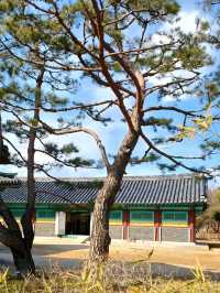아름다운 연못이 있는 왕릉, 수로왕릉 🏯🌿