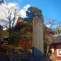ศาลเจ้านิกโก้โทโชกุ (Toshogu Shrine)