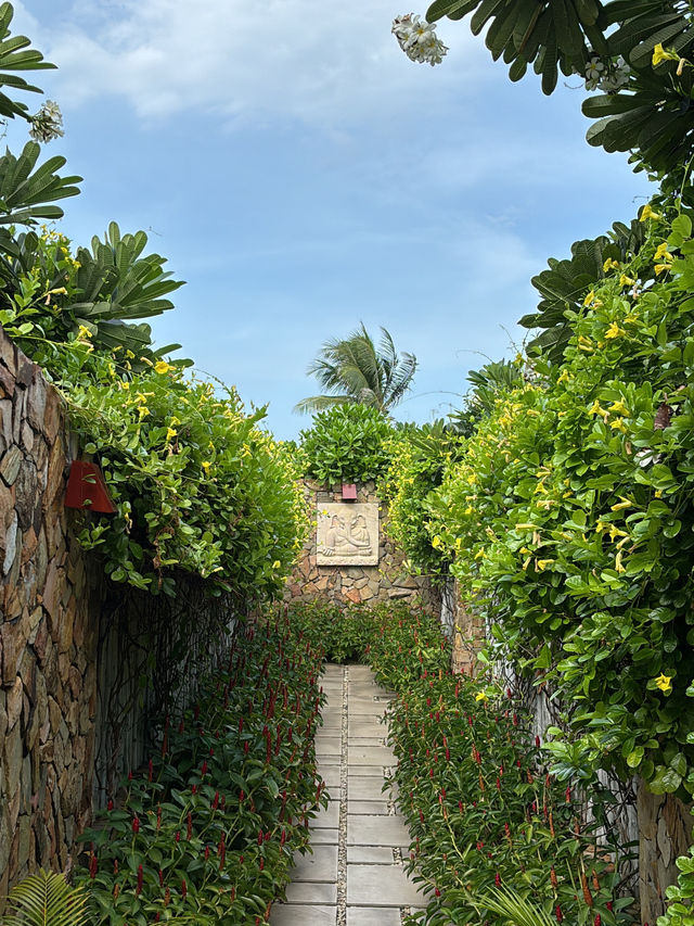 나트랑에서 제 인생숙소 찾았습니다🌴🏝️🏡 여기가 천국인가요🪽🤍