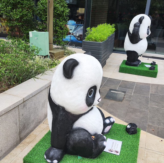 海洋公園 五星級酒店🏨 自助餐買一送一
