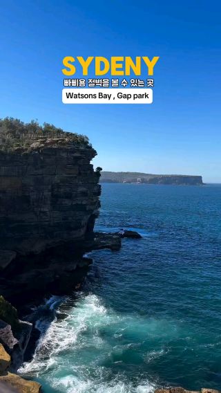 Watsons Bay, a beach great for picnicking in the park 🌊