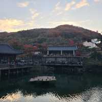 서울 근교 가보기 좋은 곳 추천 ▪️화담숲
