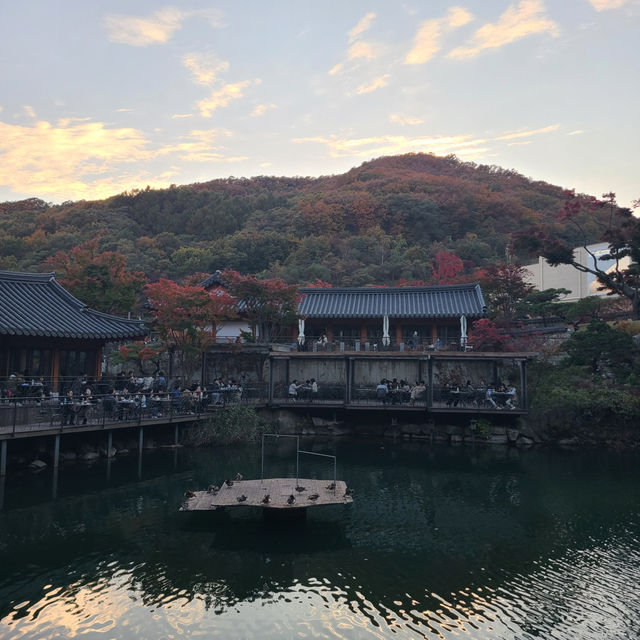 서울 근교 가보기 좋은 곳 추천 ▪️화담숲