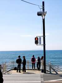 Kamakura เมืองทะเลสุดชิค 1 ชั่วโมงจากโตเกียว