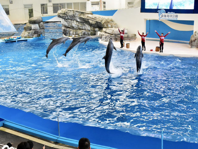 花蓮這個水族館居然有美人魚？！🧜🏻‍♀️