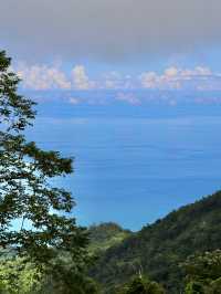 花海中的浪漫之旅！🌄🌸 探索金針花的絢爛盛開，感受大自然的美麗與芬芳吧！🌻🚶‍♀️💛