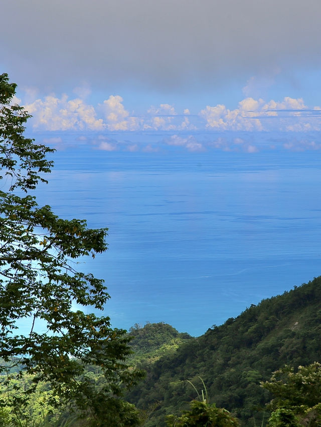 花海中的浪漫之旅！🌄🌸 探索金針花的絢爛盛開，感受大自然的美麗與芬芳吧！🌻🚶‍♀️💛