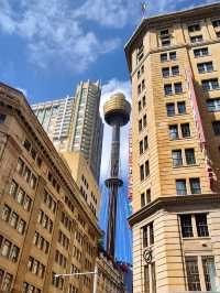 360° overlooking the breathtaking Sydney cityscape on The Sydney Tower Eye. 