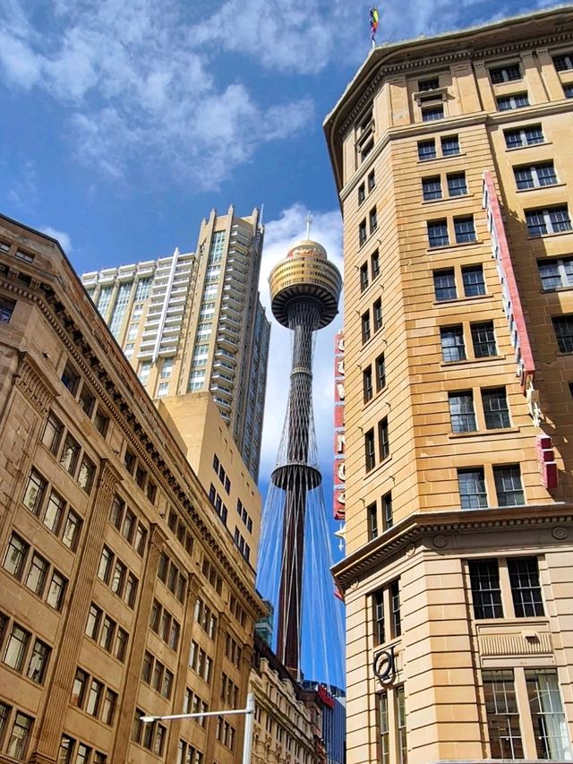 360° overlooking the breathtaking Sydney cityscape on The Sydney Tower Eye. 