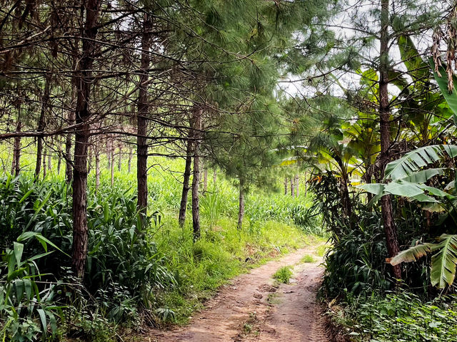 เส้นทางรถไถขึ้นภูสอยดาว 🌳🍃