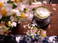 Junjun Shop Cafe' : คาเฟ่คัพเค้กจิ๋ว เชียงใหม่