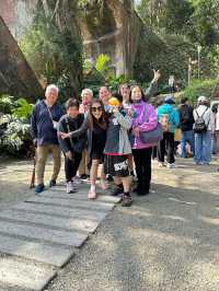 溪頭森林遊樂園