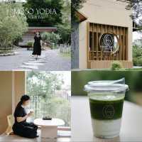☕️ มัดรวม 6 คาเฟ่อยุธยาเที่ยวง่ายใกล้กรุง