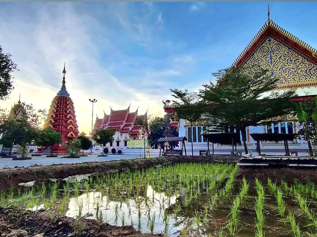 วัดศรีสว่างโนนทัน จ.ขอนแก่น