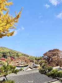 🇰🇷가을에 떠나본 울긋불긋 강화도 전등사🍂🍁