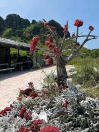 "Labuan Bajo: Gateway to Paradise and the Dragons of Komodo"