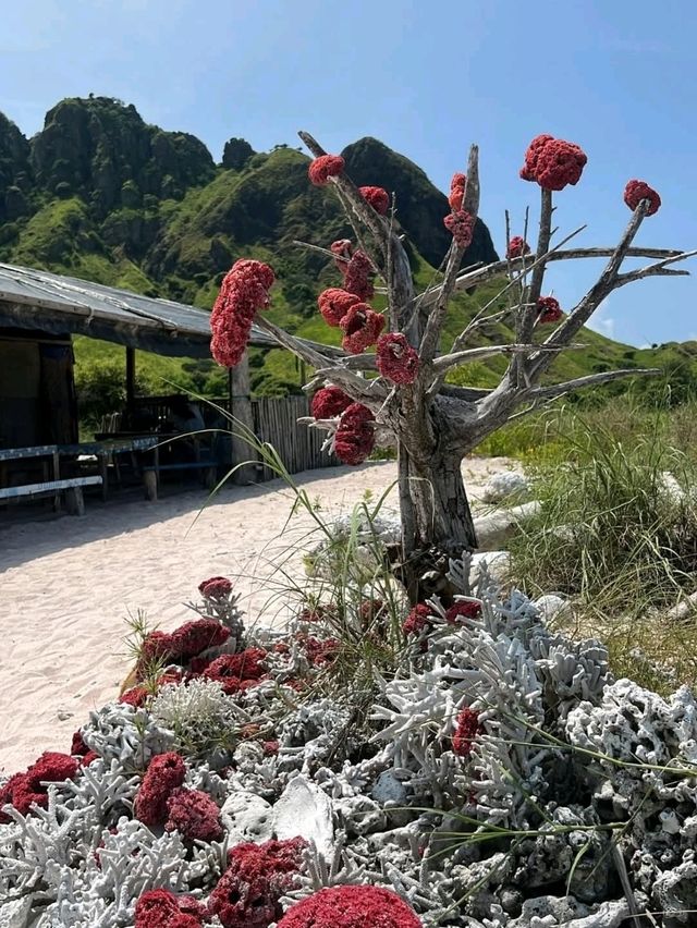 "Labuan Bajo: Gateway to Paradise and the Dragons of Komodo"