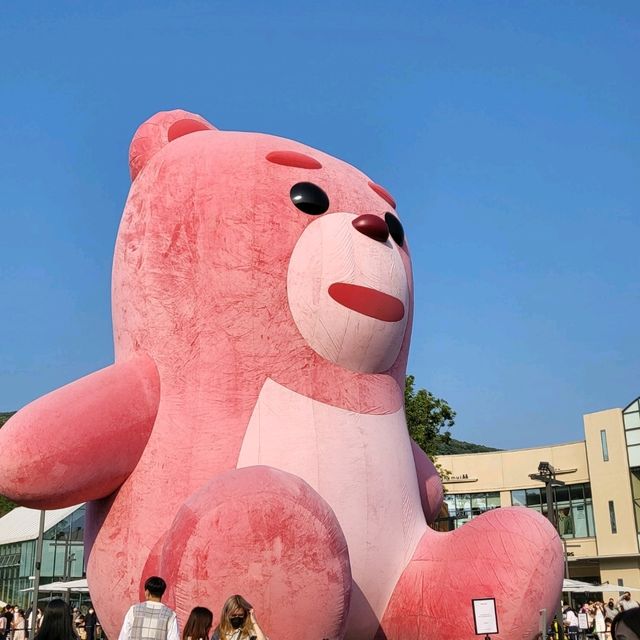핑크밸리곰 찾아 가본 타임빌라스