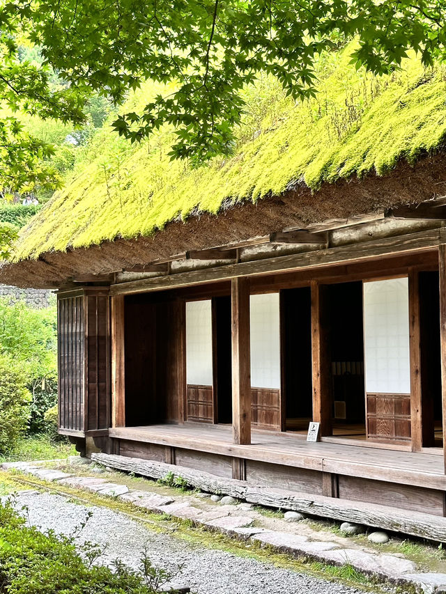 まるでタイムスリップ✨下呂温泉合掌村で日本の原風景を満喫！