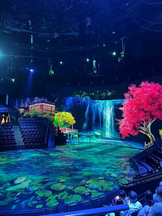best attraction for china transit in shanghai