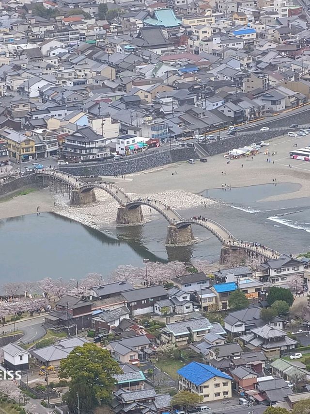 乘JR自由行賞花回憶