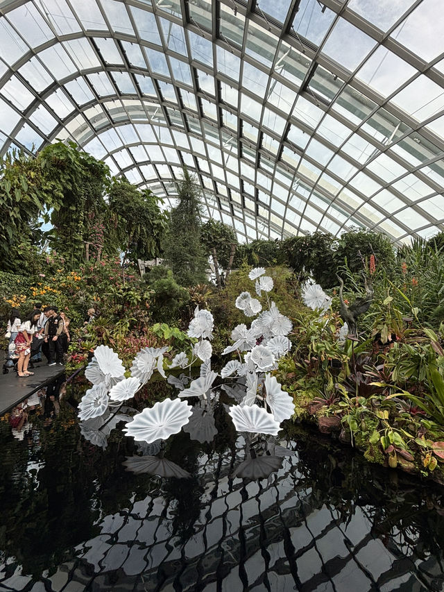 Sakura, Supertrees, and Sundae Bliss! Discovering the Magic of Gardens by the Bay
